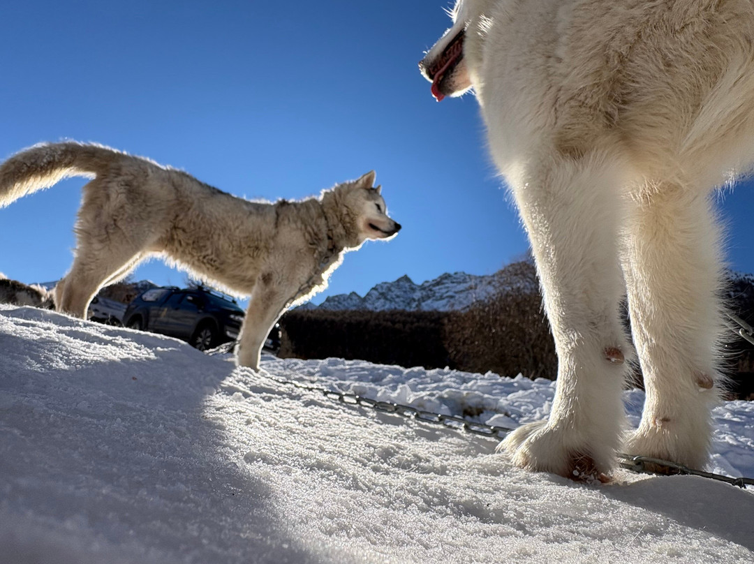 Leila'venture-Molines-en-Queyras必去景点
