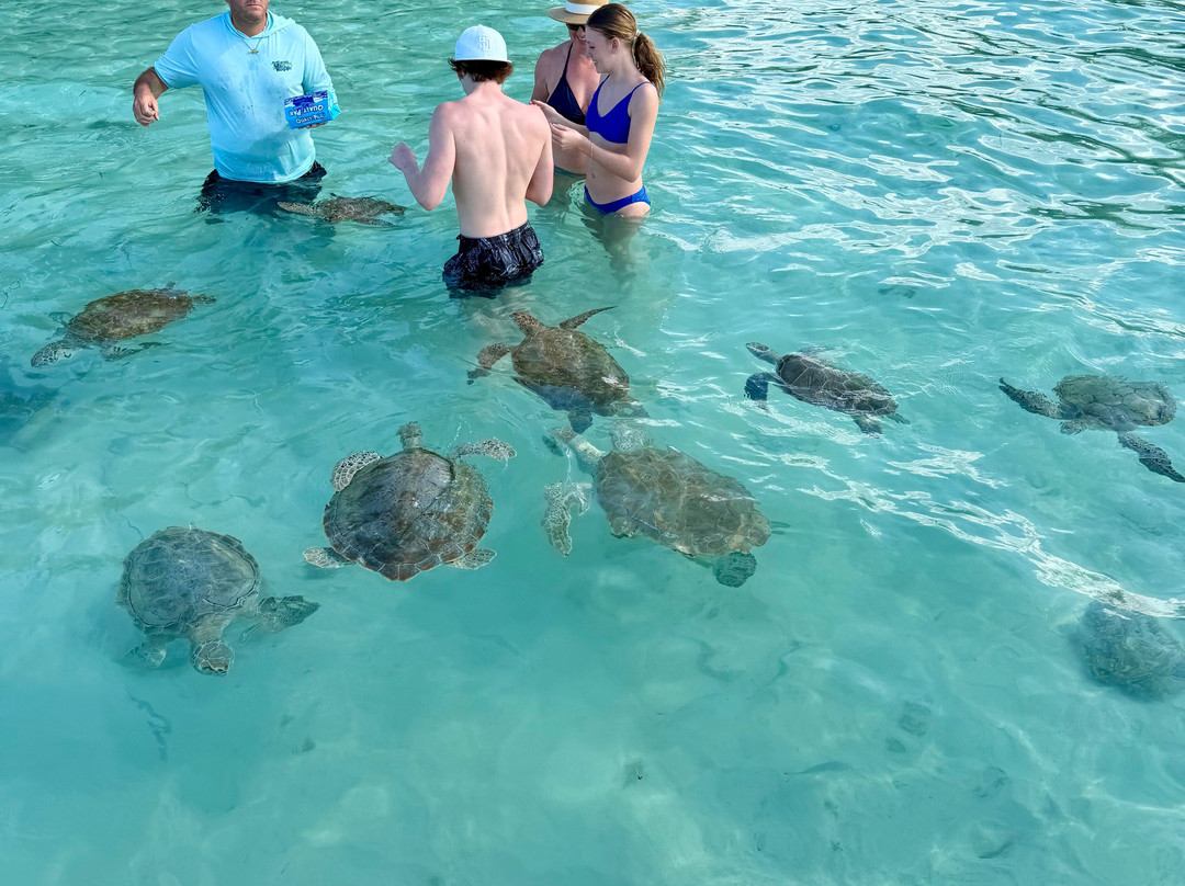 Tyman Fishing Charters-Spanish Wells必去景点