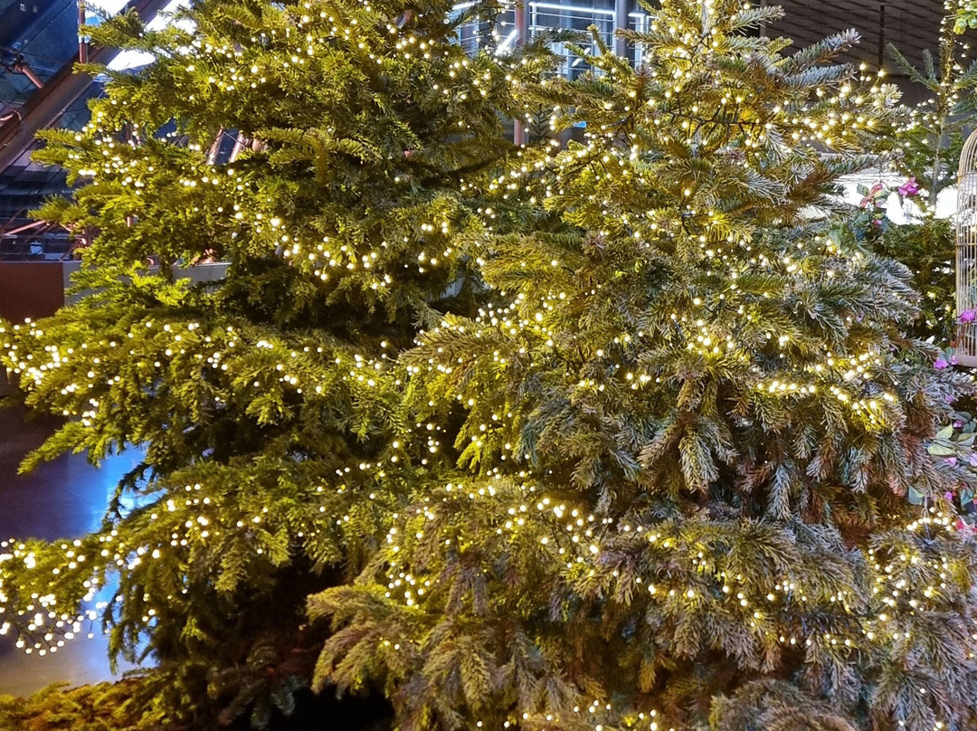 Grimaldi Forum-蒙特卡洛必去景点