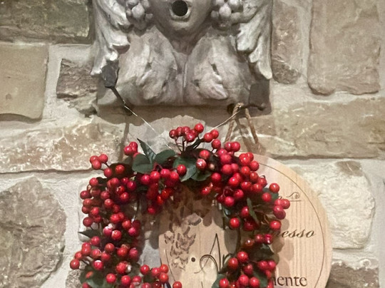 Hotel Villa Clementina主图