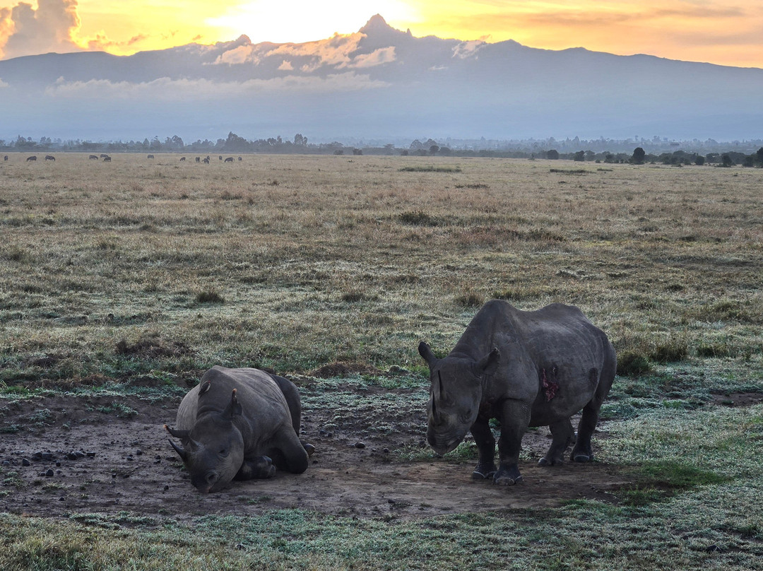 Classic Explorers-内罗毕必去景点