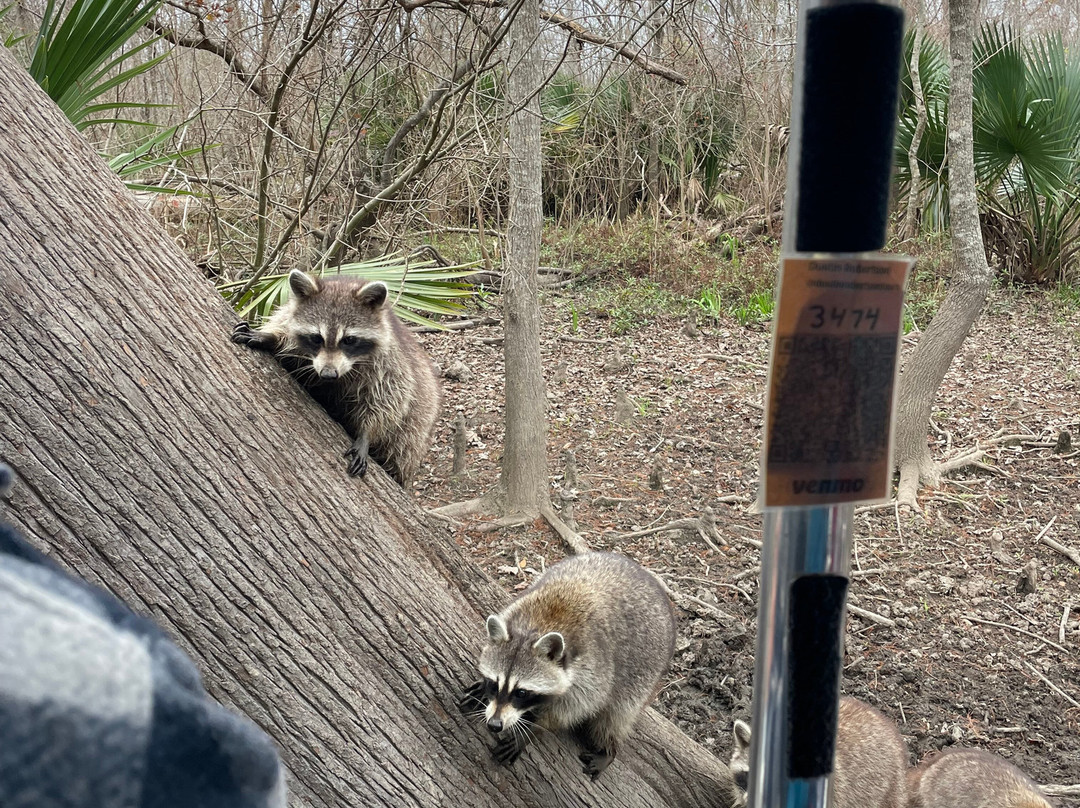 Cajun Pride Swamp Tours-LaPlace必去景点