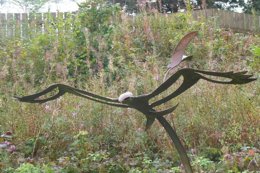 Bwlch Nant yr Arian Forest Visitor Centre-阿伯里斯特威斯必去景点