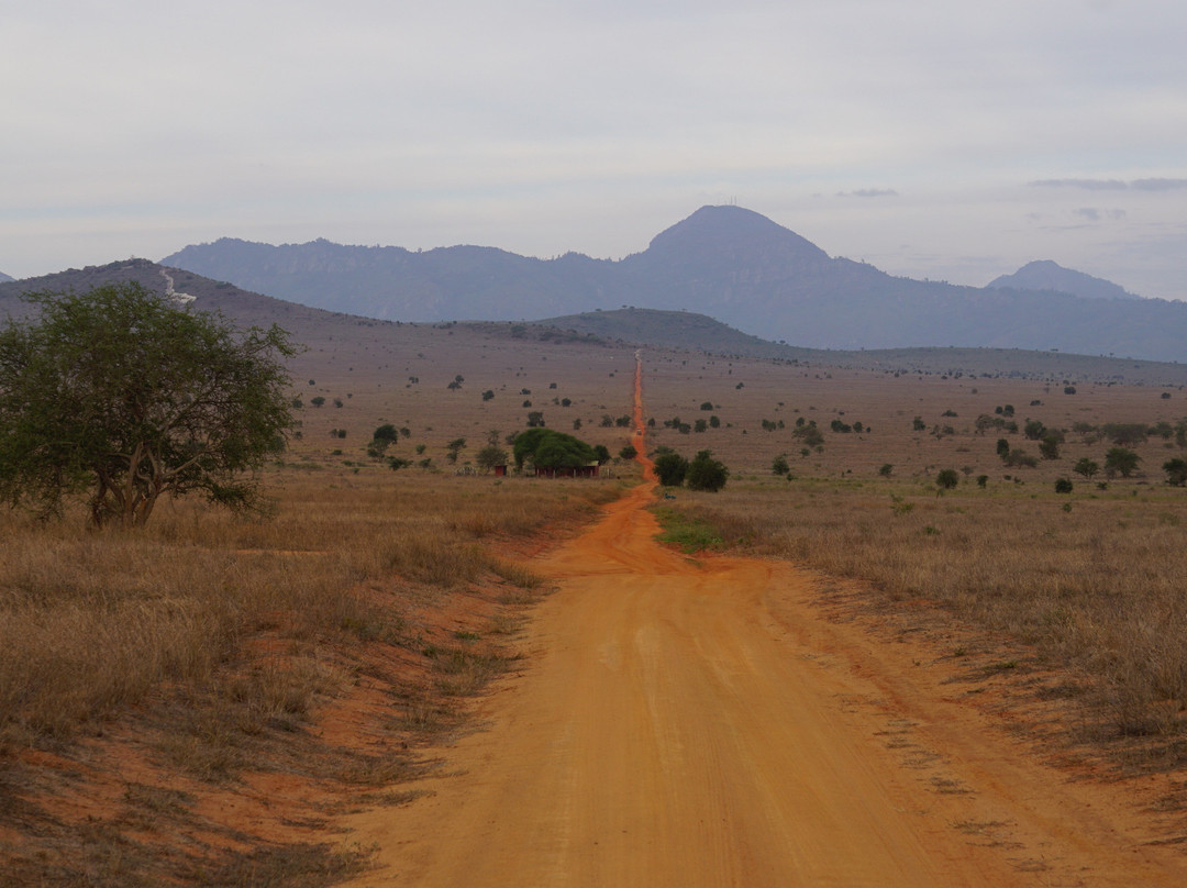 KingTomondo Safaris Kenya-蒙巴萨必去景点