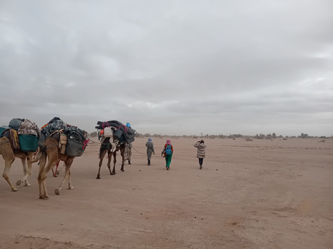 Au pays du Sahara-迈哈米德必去景点