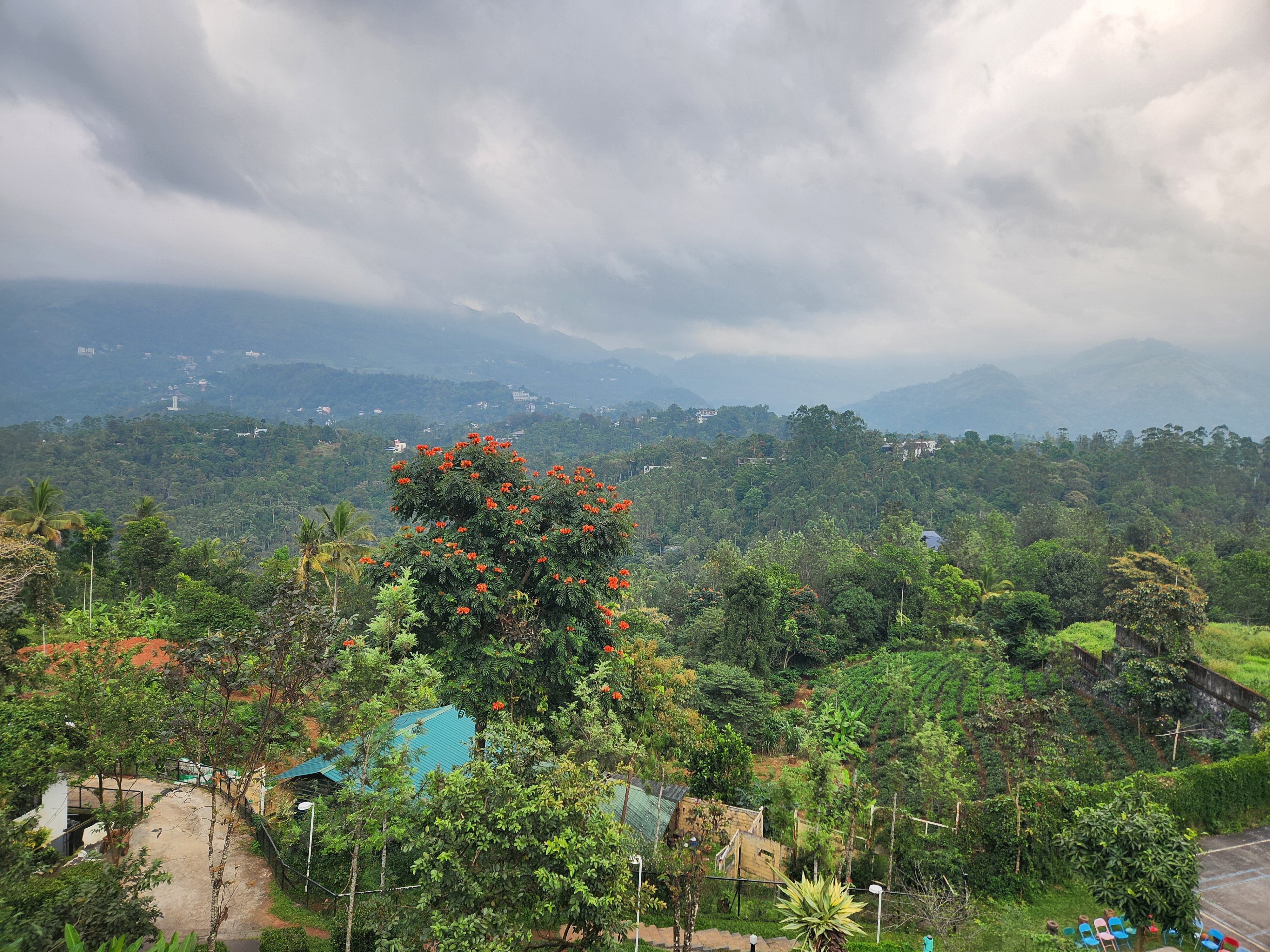 The Leaf Munnar Resort-酒店景观