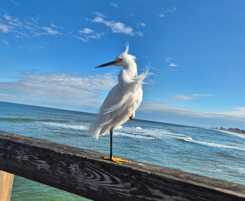 Daytona Beach Boardwalk and Pier-代托纳比奇必去景点