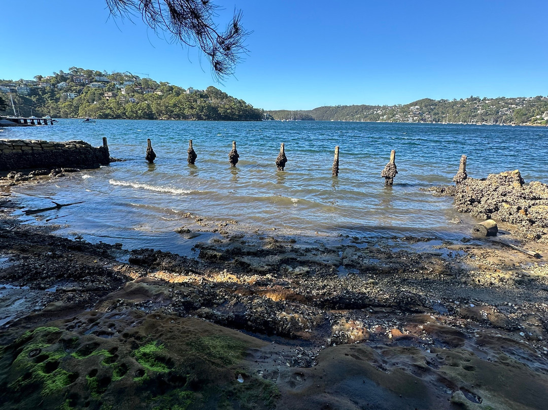 Clive Park-Northbridge必去景点