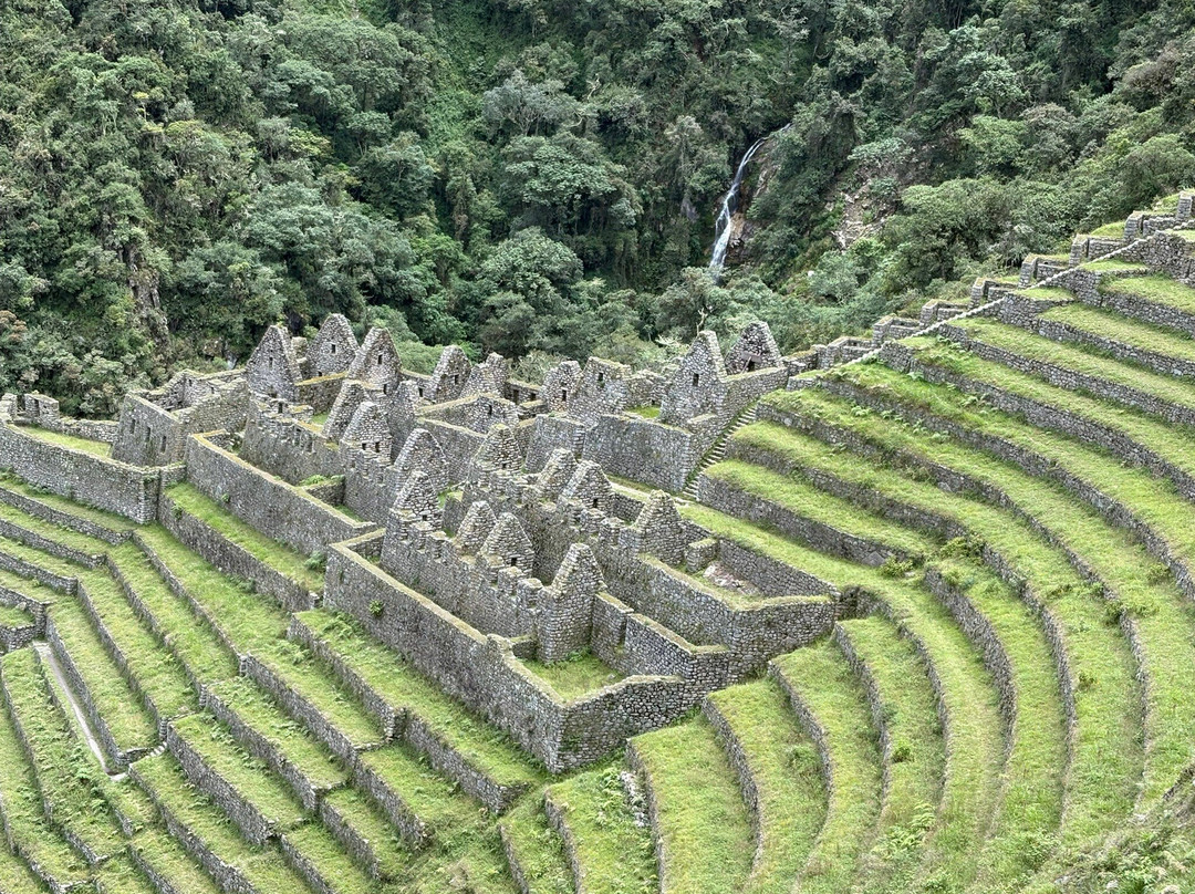 Alpaca Expeditions-库斯科必去景点