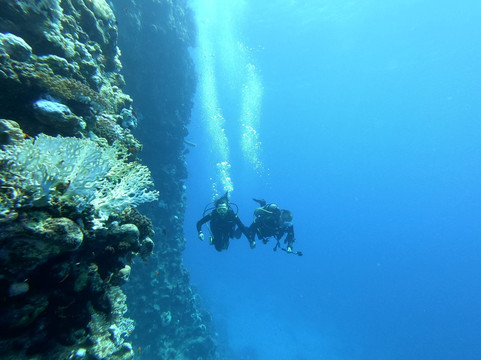 Travely Egypt Tours-马萨阿拉姆必去景点