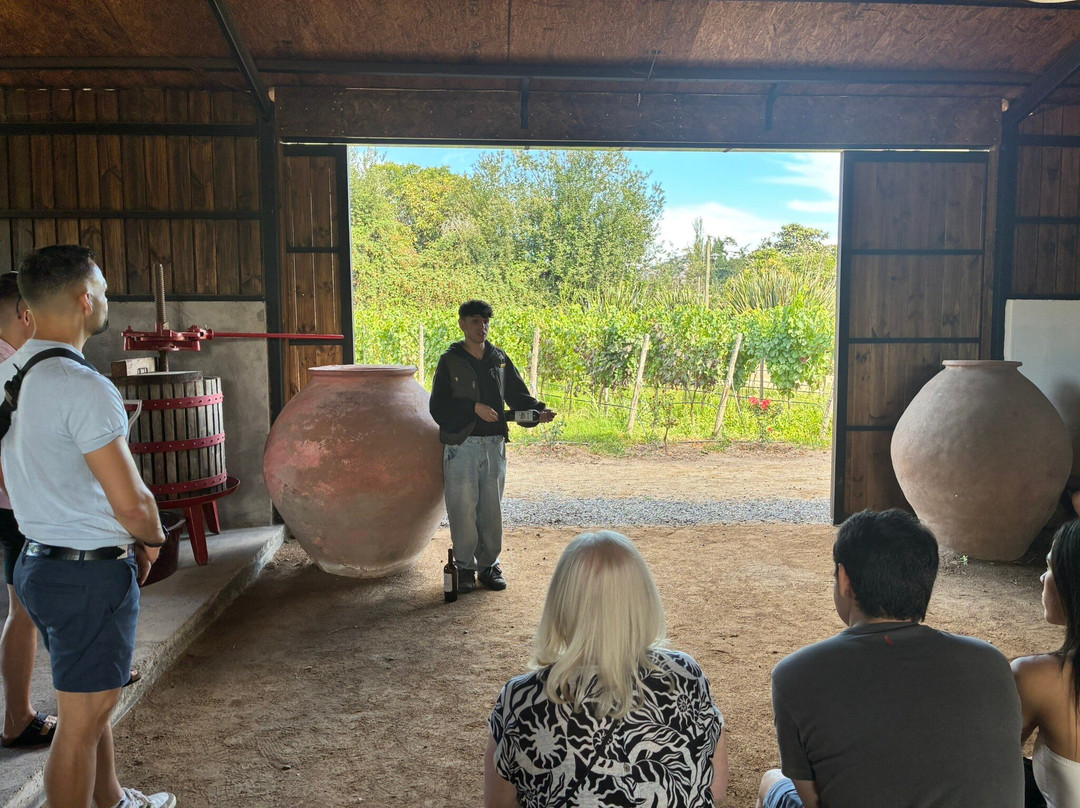 Campo La Quirinca-Isla de Maipo必去景点