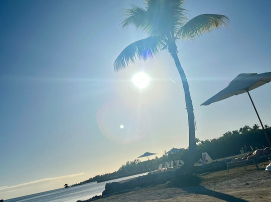 Chesapeake Beach Resort主图