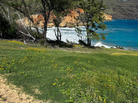 CJM Country Stables-可洛亚必去景点