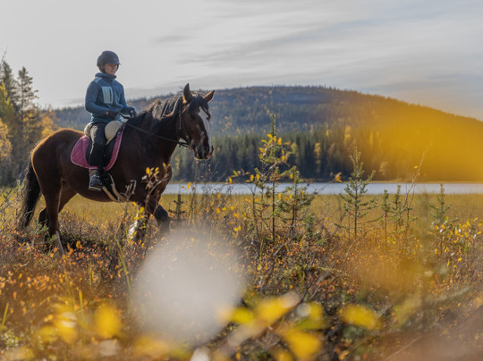 Konijänkkä-Akaslompolo必去景点