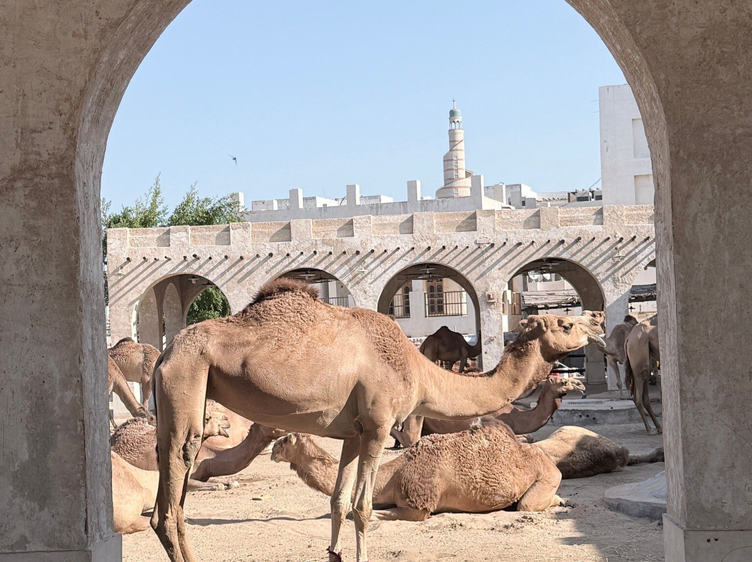 Regency Holidays- Qatar-多哈必去景点