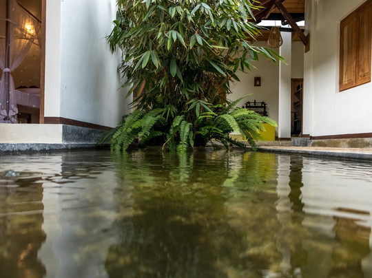 Kingdom Secret主图