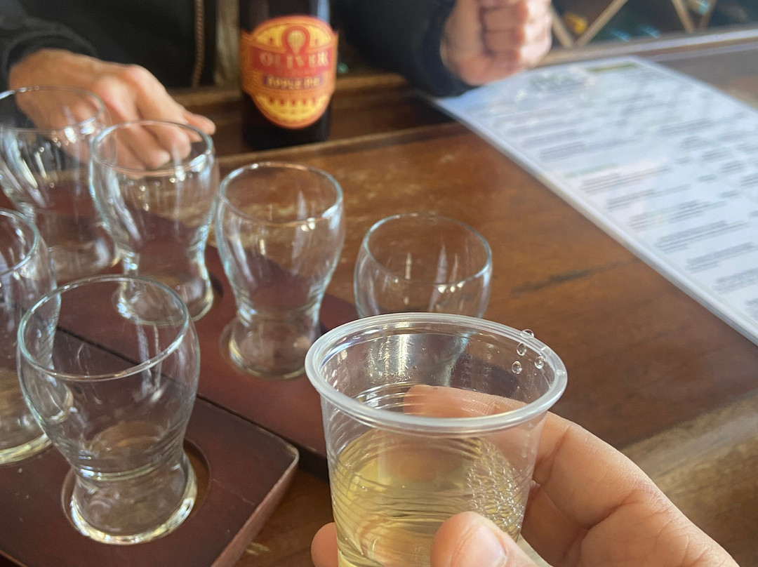 Grapetown Vineyard-弗雷德里克斯堡必去景点