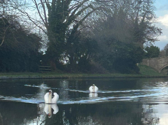 Georgie's Canal Cruises-Penkridge必去景点