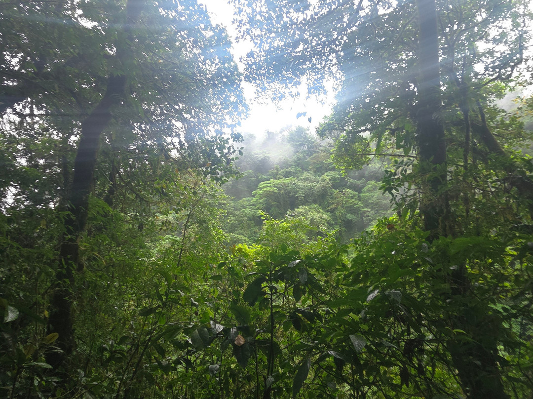 NexusTours-圣何塞必去景点