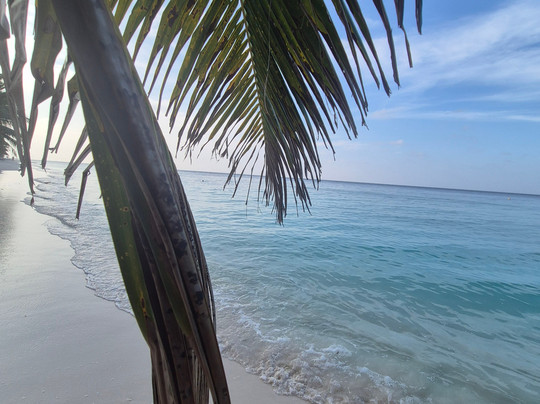 Nala Veli Beach & Spa主图