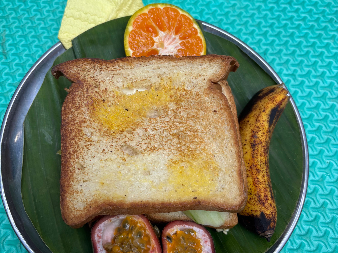 Sumatra Orangutan Explore-武吉拉旺必去景点