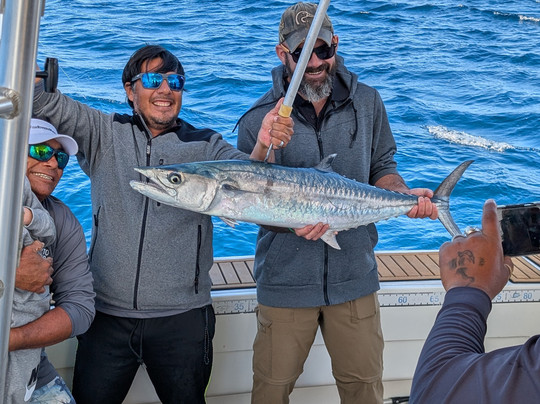 Fish Riviera Maya-阿范特拉斯港必去景点