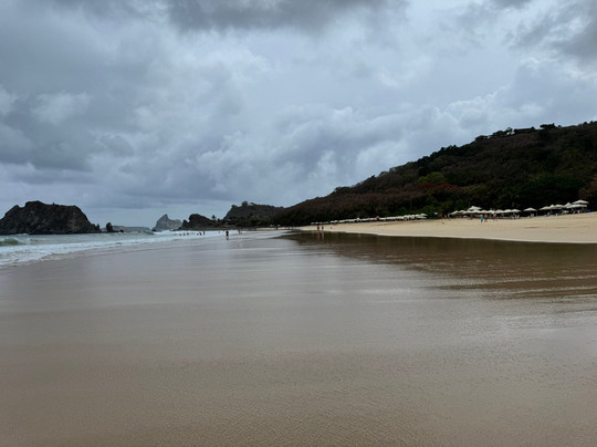 Fernando de Noronha Marine National Park-费尔南多-迪诺罗尼亚群岛必去景点
