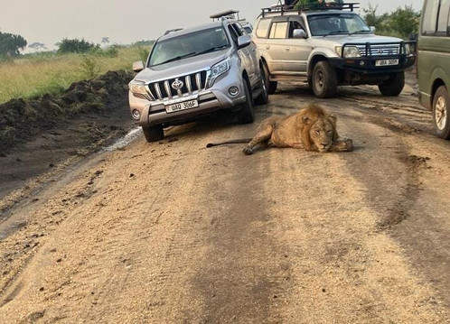 Dallago Tours Kenya Tanzania Limited-内罗毕必去景点