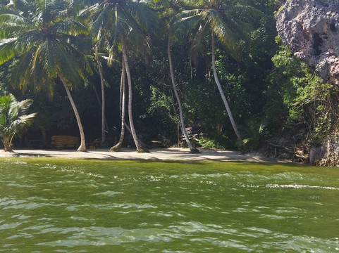 Arena Tours Excursiones-拉斯特拉纳斯必去景点