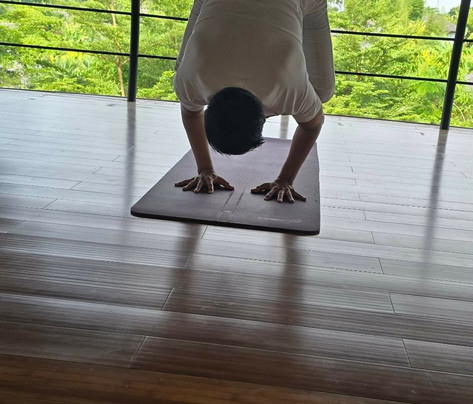 OmTara Spa By Clarins-乌布必去景点