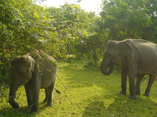 Freedom Safari Jeep Tours-蒂瑟默哈拉默必去景点