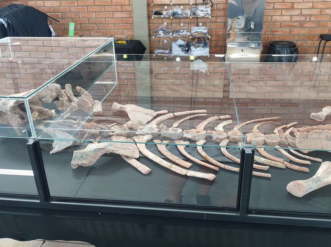 Museum Aristides Carlos Rodrigues-Candelaria必去景点