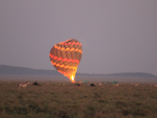 Nyssa Balloon Safaris-Seronera必去景点
