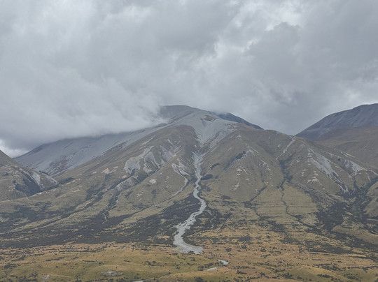 Red Carpet Tours-奥克兰中心地区必去景点