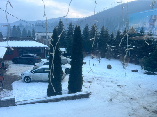 Pensiunea Putnisoara主图