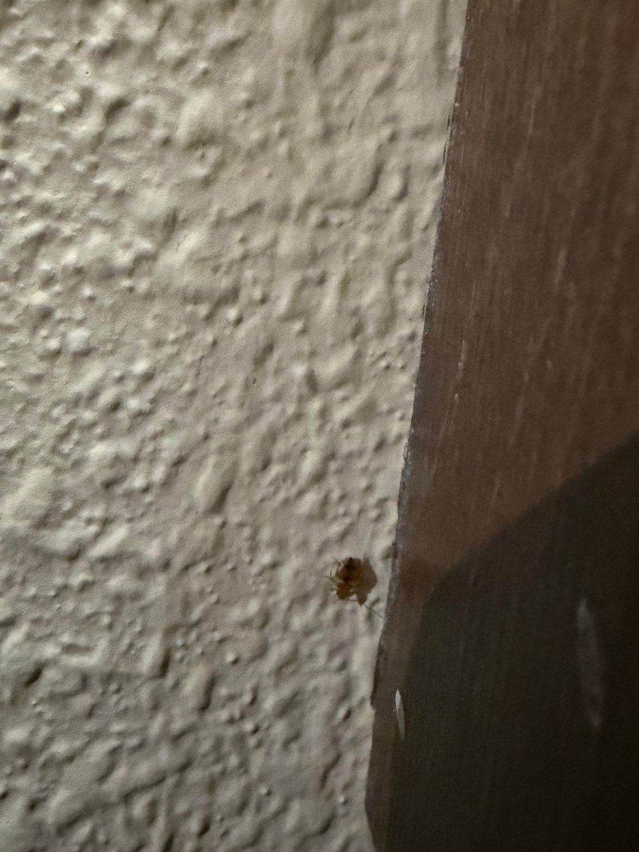 Kalahari Resorts & Conventions - Poconos-官方