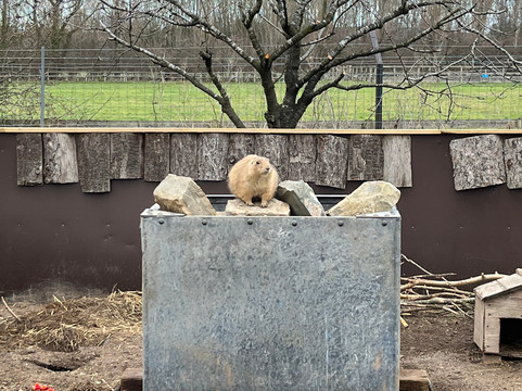 All Things Wild-Honeybourne必去景点