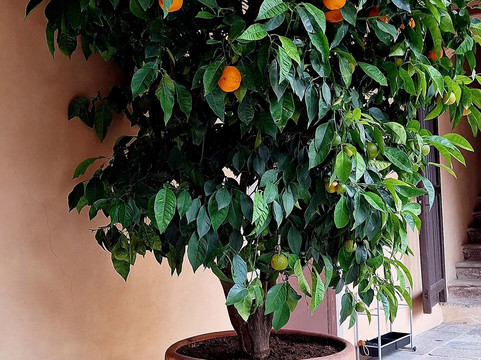 Casa Macchi-Morazzone必去景点