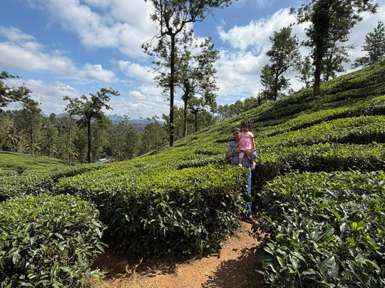 Tea Town Kerala - Wayanad-Chundale必去景点