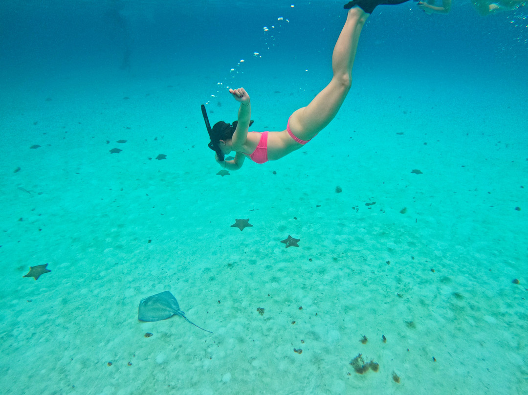 Blue H2o Cozumel Ocean Tours-考祖梅必去景点