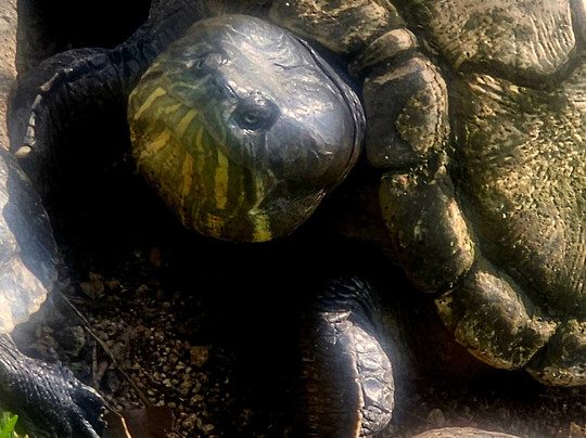 Havacubvision-巴拉德罗必去景点