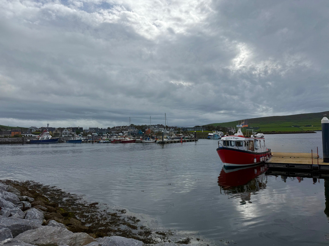 Dingle Bay-丁格尔必去景点