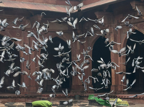 Explore With Guide-法塔赫布尔西格里必去景点