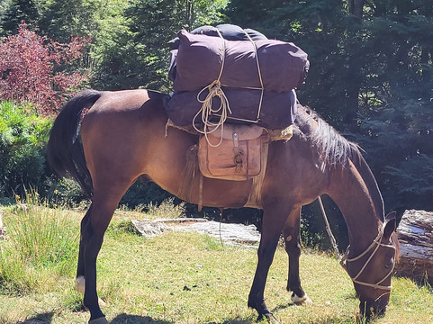 Rancho Carhuello-普孔必去景点