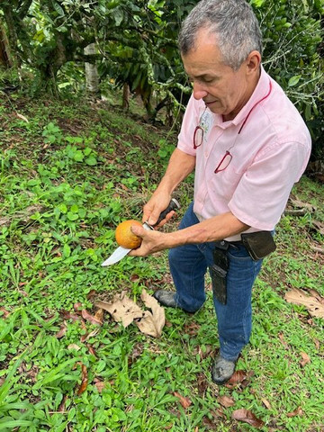 Brisas del Cauca-Risaralda必去景点