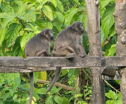 Chidiyatapu Biological Park-布莱尔港必去景点