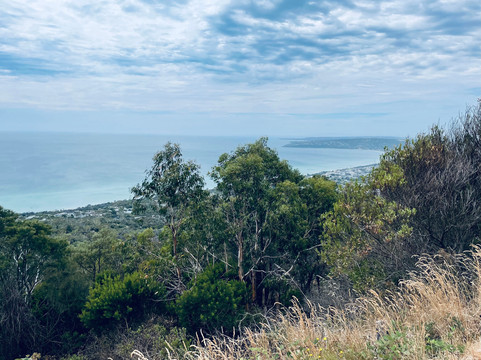 Murrays Lookout-Arthurs Seat必去景点