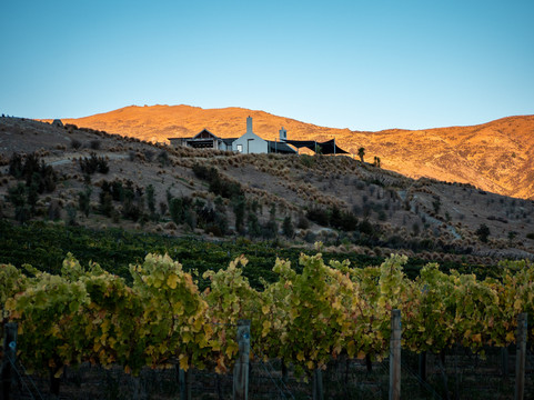 Mt Difficulty Winery Restaurant