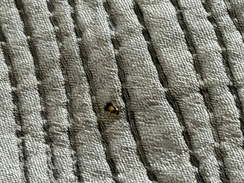 格林维尔I-65凯艺套房酒店主图