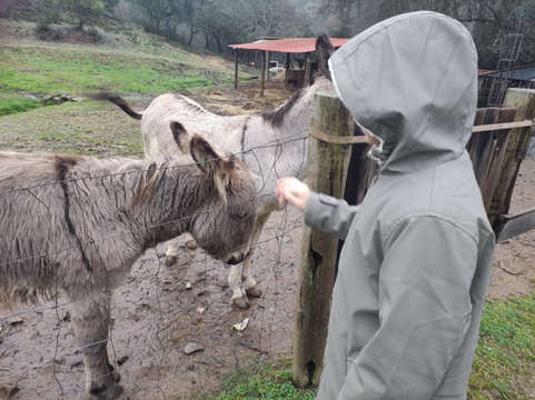 Moinho Do Maneio主图